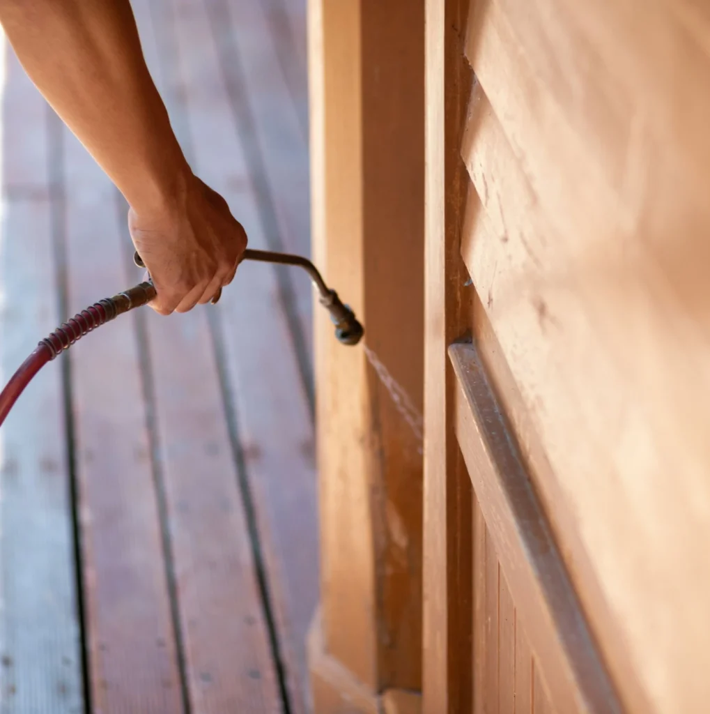 Trusted Pest Control - Pest Control Pros | Bergenfield, NJ | 551-266-4977